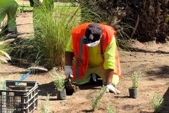 WhatsApp Image 2026-04-01 at 16.03.44 (2).jpeg